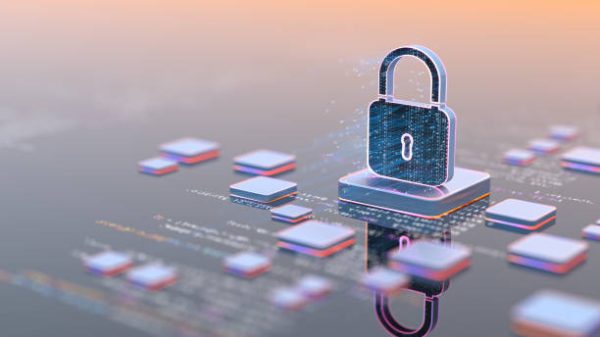 Demystifying Data Structures and Algorithms in Data Security & Privacy