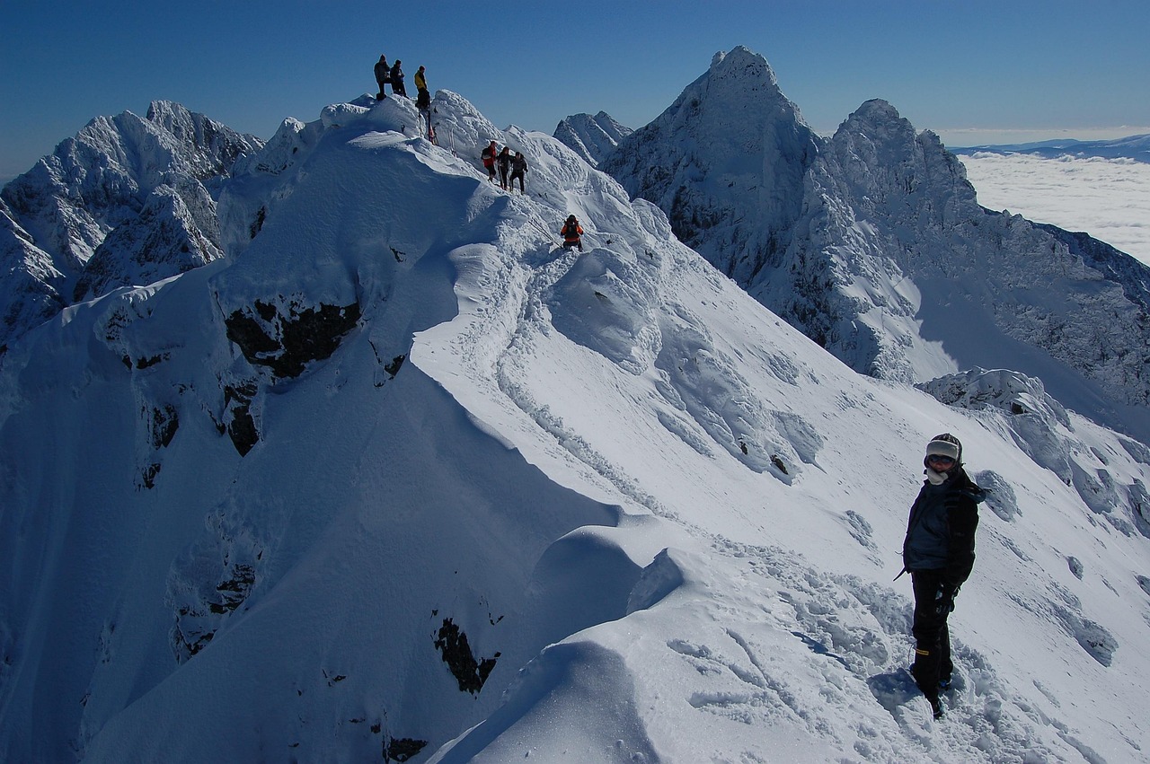 Scratches, the features of the face in the winter, scratches tatras — HDPE Recycling Helps Meet Environmental Compliance Stan