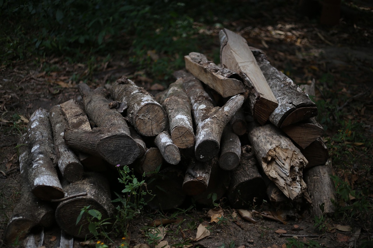 Firewood, wood, coal — Metodi avanzati per personalizzare pirots 2 in ambienti di lavoro collaborativi